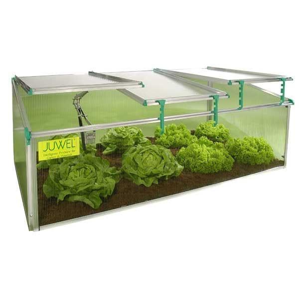 BioStar Premium Cold Frame